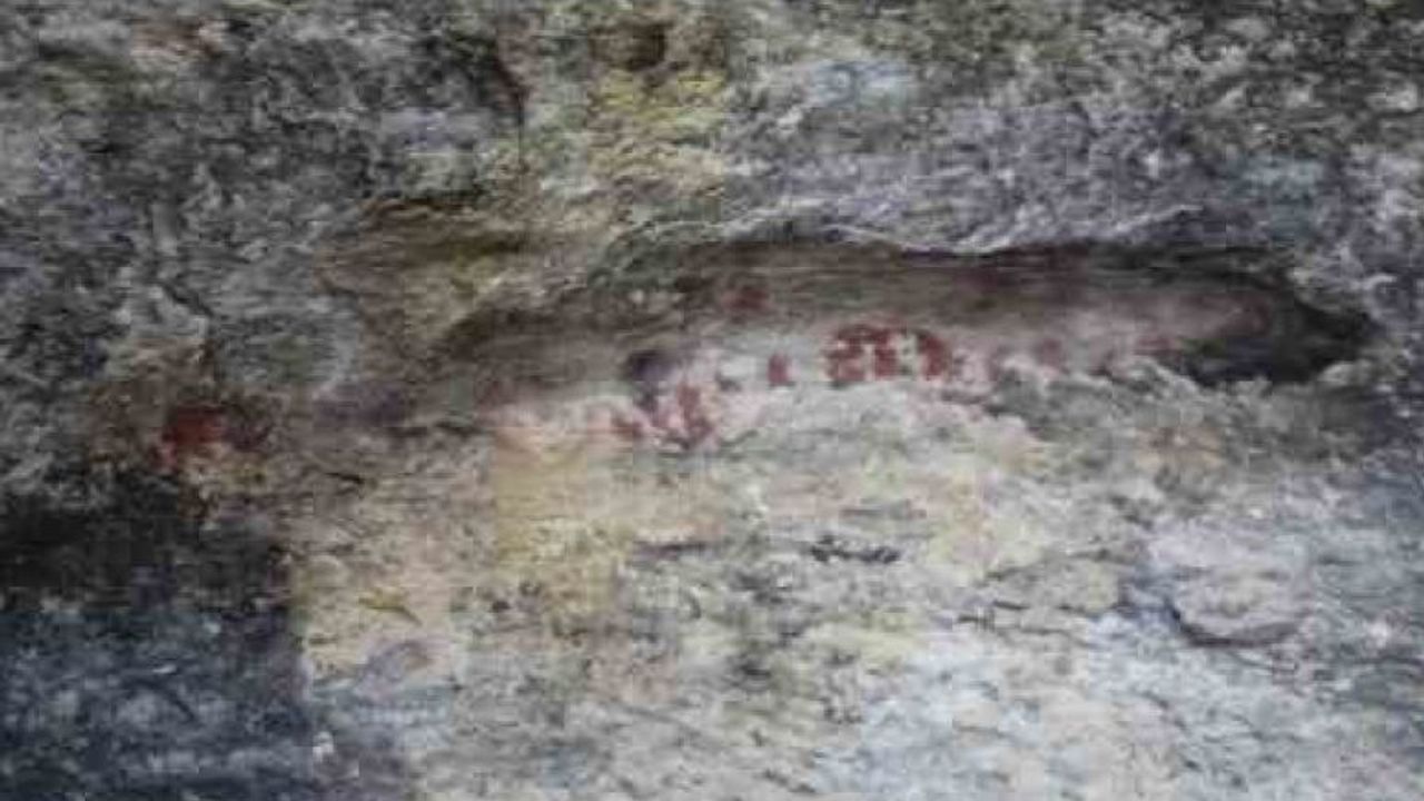 Latmos'ta yeni kaya resimleri bulundu