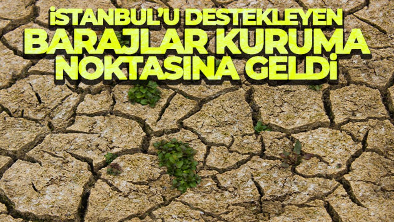 Yetersiz yağmur yüzünden İstanbul'u besleyen barajlar kuruyor