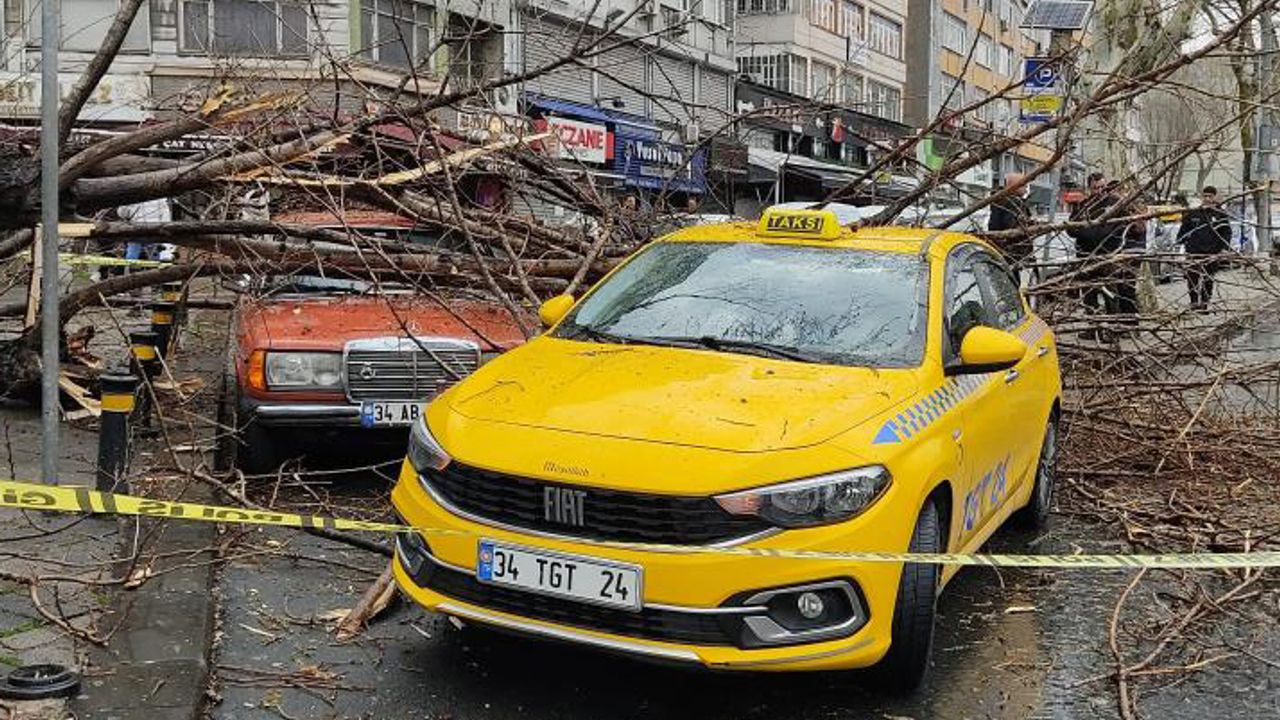 İstanbul Fatih'te ağaç otomobillerin üzerine devrildi