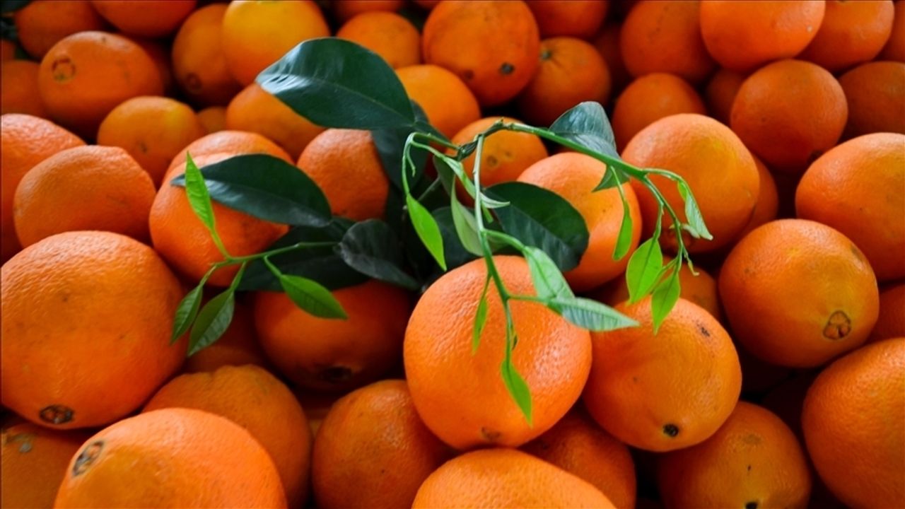 Dikkat! portakal alerjisi olabilirsiniz