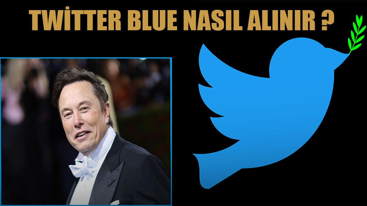 Twitter Blue, nasıl alınır? Twitter Blue avantajları nelerdir?