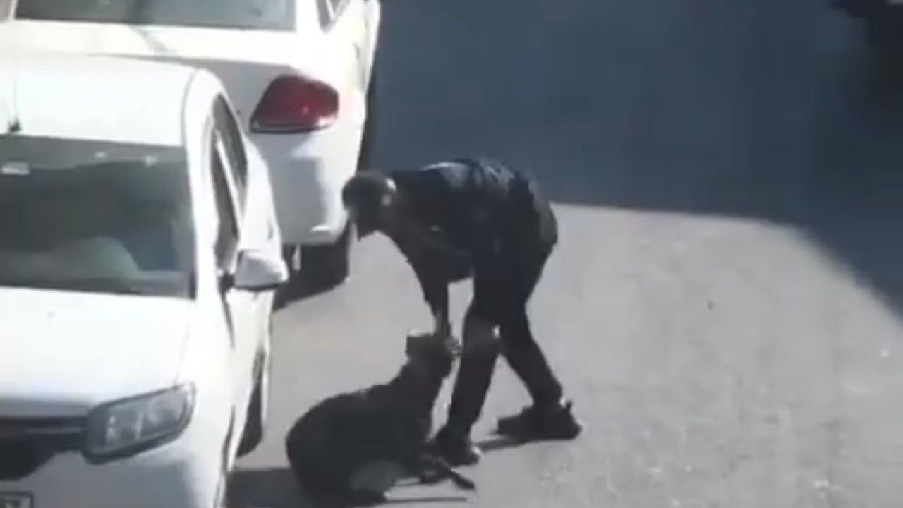 Beyoğlu’nda köpeğe eziyet eden şahıs gözaltına alındı