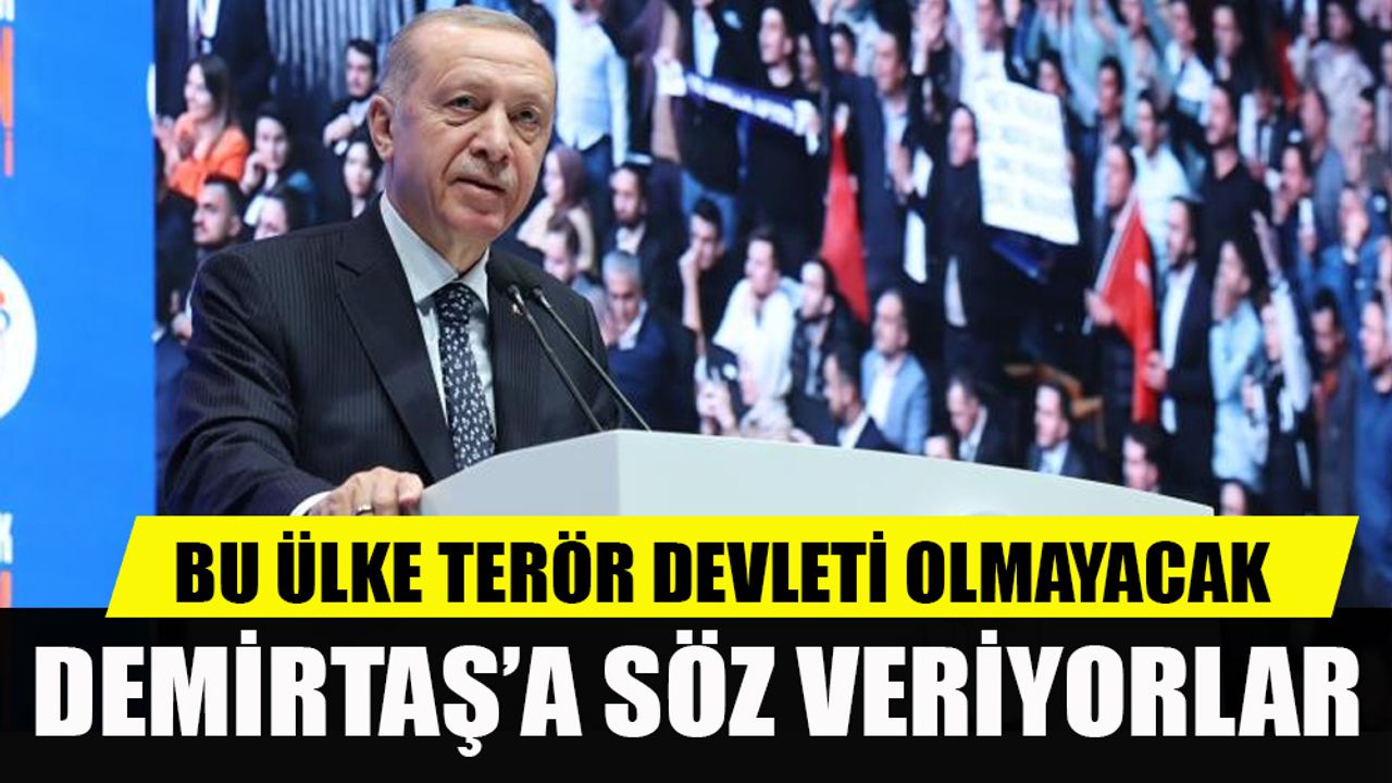 Cumhurbaşkanı Erdoğan: Bu ülke terör devleti olmayacak