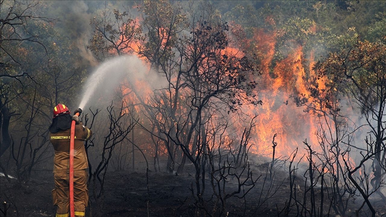Yunanistan'daki yangınlar AB'de yaşananların en büyüğü