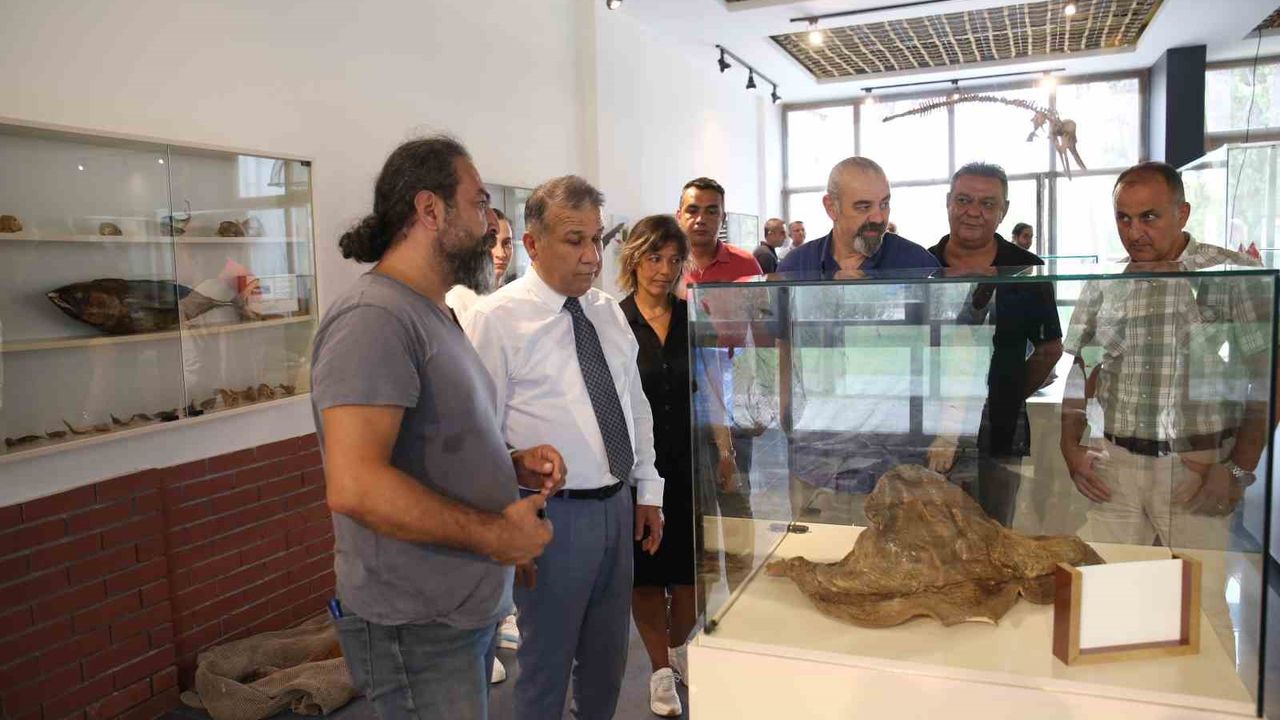 Akdeniz'in ilk deniz canlıları müzesi Mersin’de açılıyor