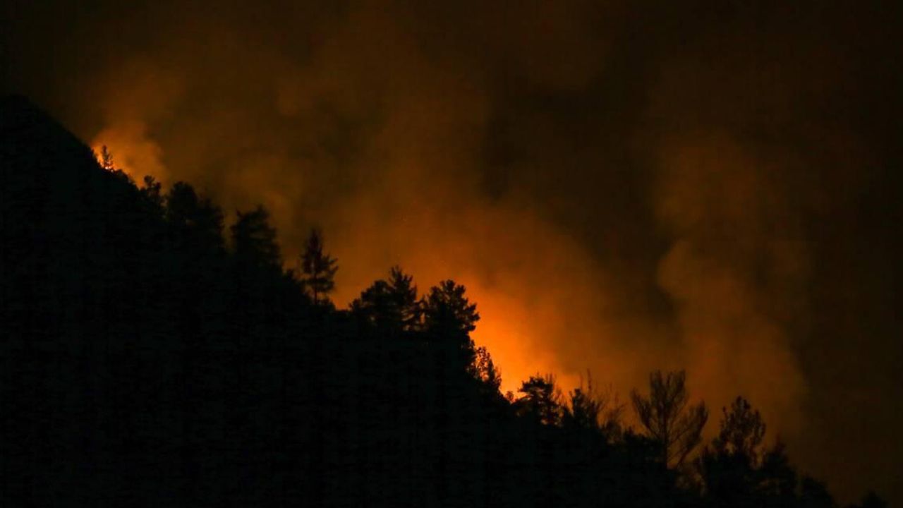 Alanya'daki orman yangını devam ediyor