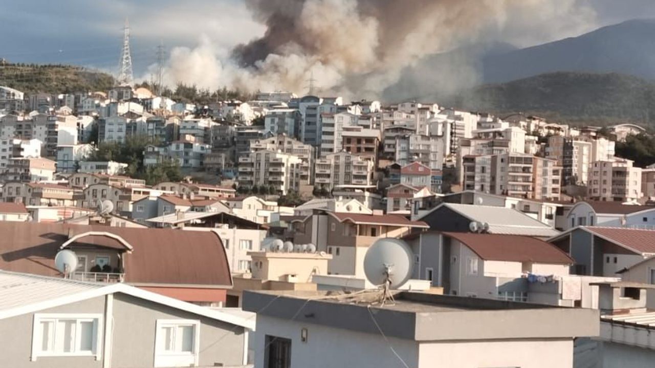 Bursa’da Orman Yangını Paniği