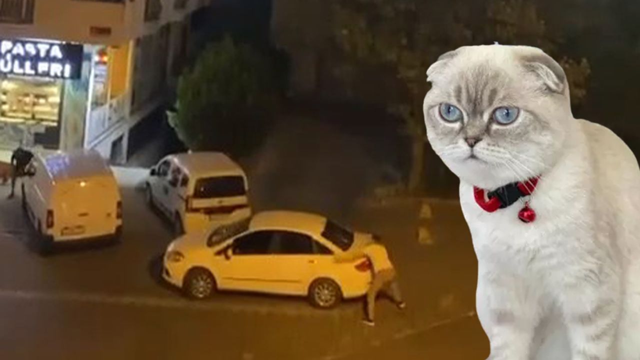 İstanbul’da kedi yüzünden silahlı çatışma çıktı, yoldan geçen kurye vuruldu