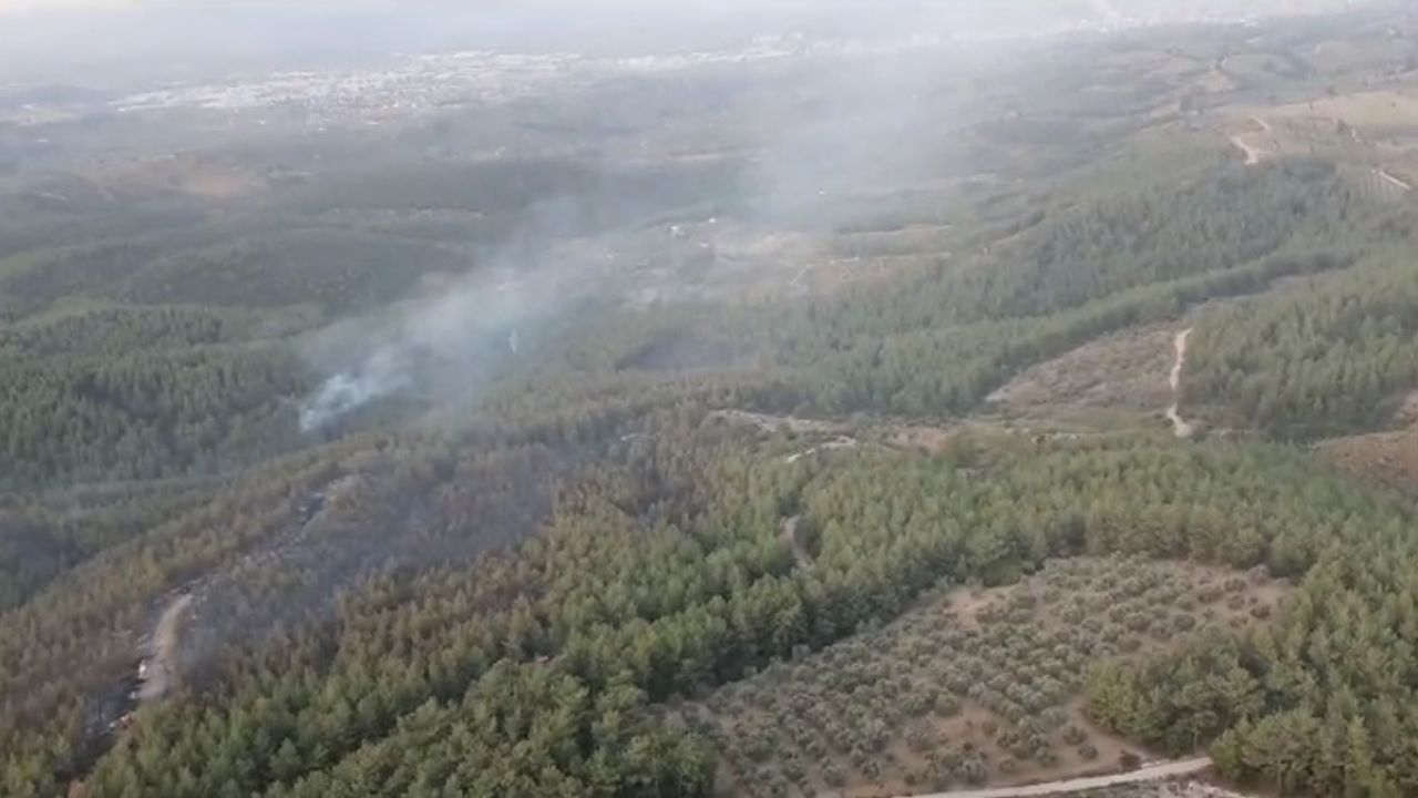 İzmir'deki orman yangınına müdahaleler devam ediyor