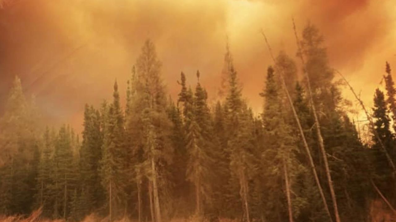 Kanada'da orman yangınları kontrol altına alınamıyor