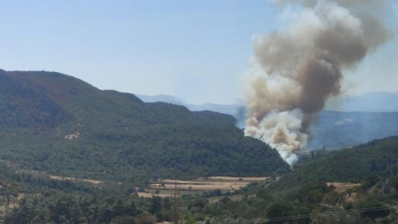 Manisa Soma'da orman yangını çıktı