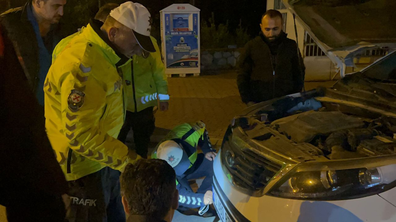 Polis, otomobilin motorunda sıkışan kediyi kurtardı