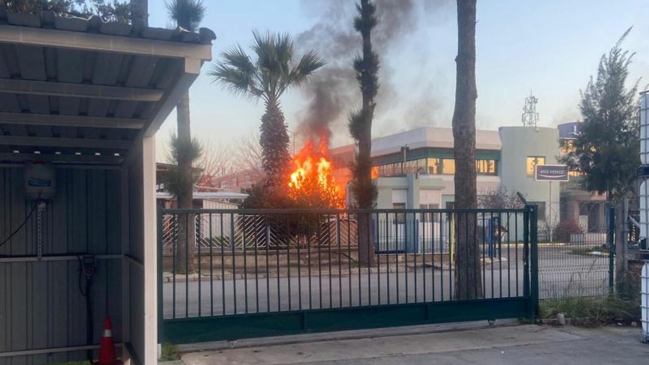 İzmir'de kozmetik ürünleri deposunda yangın çıktı