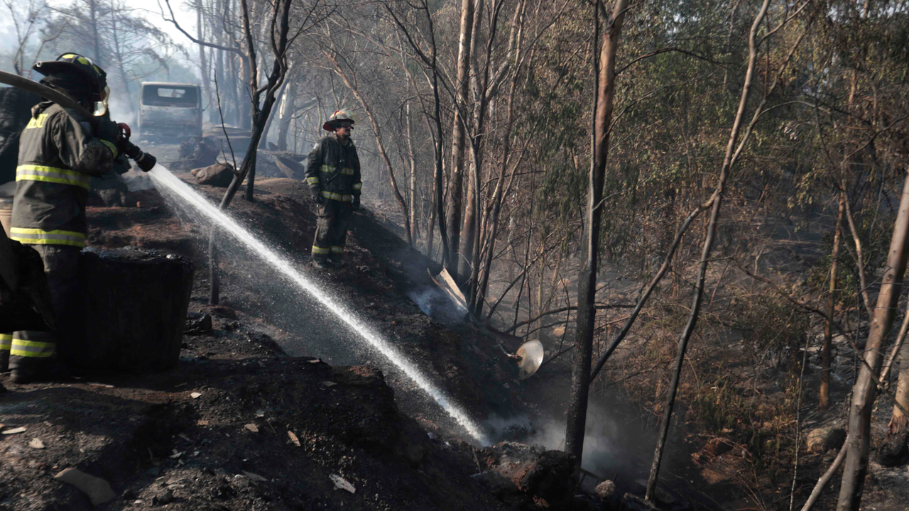 Şili’deki orman yangınlarında can kaybı 19’a yükseldi   