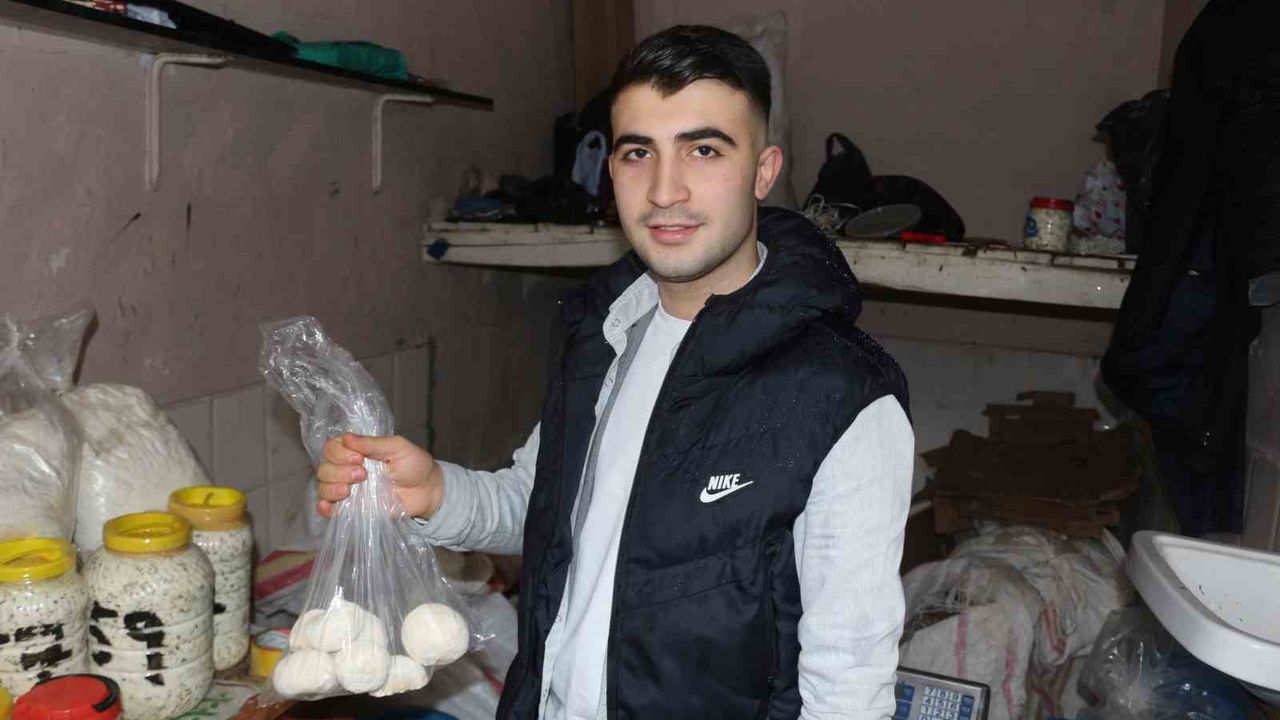 Ortaasya'dan Anadoluya geleneksel damak tadı kurut kış hastalıklarına bire bir