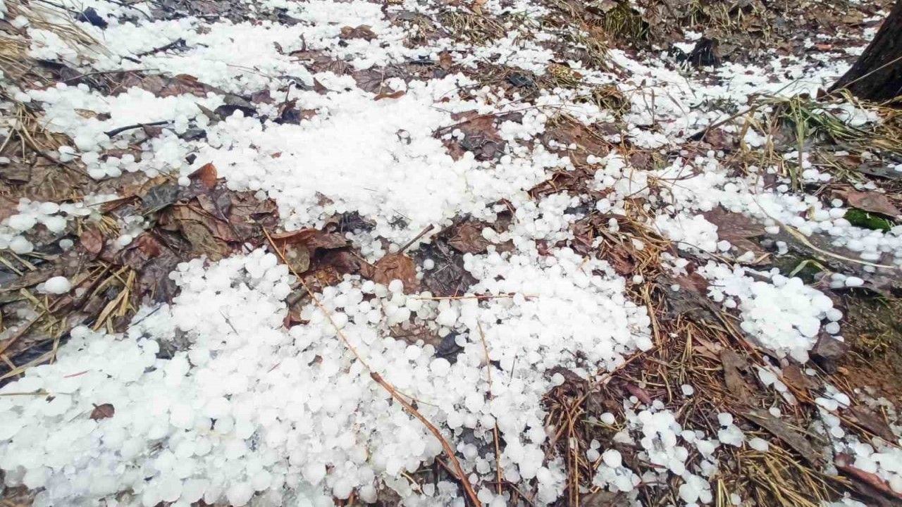 Bitlis’te dolu yağışı etkili oldu