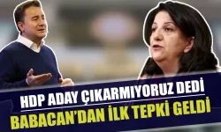 HDP'nin aday çıkarmayacağını açıklaması üzerine Babacan'dan dikkat çeken bir yorum geldi...