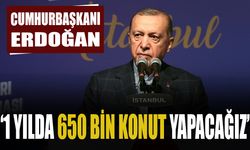 Erdoğan: Amacımız bölgeyi 1 yılda ayağa kaldırmak