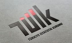 Tarım-GFE yıllık yüzde 33,25 arttı