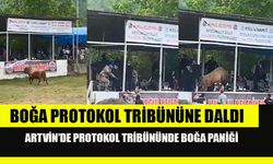 Artvin'de boğanın protokol tribününe daldığı anlar