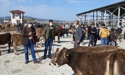 Ardahan'da 115 hayvan yetiştiricisine 18 milyon lira kredi desteği sağlandı