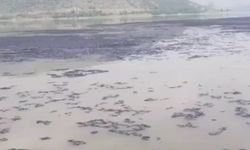 Barajda su yüzeyi siyaha büründü: Vatandaş tedirgin oldu