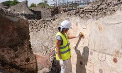 Pompeii Arkeoloji Parkı'nda yeni buluntular ortaya çıktı