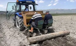 Ardahan'ın atıl arazilerinde desteklerle patates ve kavılca yetişecek