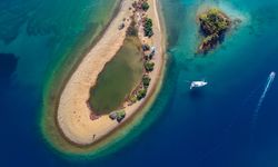 Türkiye Çevre Haftası "Temiz Deniz, Temiz Dünya"