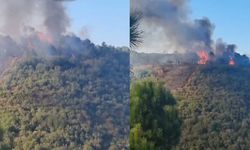 Sultangazi’de orman yangını: 2 şüpheli kamerada