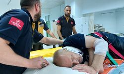 Ceviz ağacından düşen Öğretmen yaralı