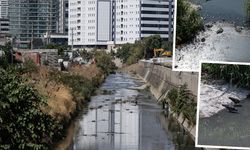 İstanbul’da yıllardır çözülemeyen çevre sorunu: Ayamama Deresi