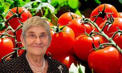 Canan Karatay’dan uyarı: Böyle görünen domateslere sakın dokunmayın!
