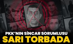 PKK'nın Sincar sorumlusu Reşo Kasım etkisiz hale getirildi