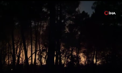 İstanbul Çekmeköy'de ormanlık alanda yangın: Ekipler müdahale ediyor