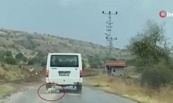 Dehşet anları kamerada: Köpeği minibüsün arkasına bağlayıp kilometrelerce sürükledi