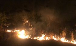 Manisa’da Orman Yangını Kontrol Altına Alındı