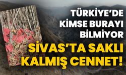 Türkiye'de kimse burayı bilmiyor! Sivas'ın saklı cenneti turizme kazandırılmayı bekliyor