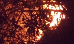Rize'de fırtınanın devirdiği elektrik direkleri yangına neden oldu