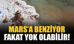 Mars’a benzeyen ekosistem keşfedildi: Madencilik yok edebilir!