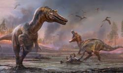 Dinozorlar geri mi döndü! İngiltere’de tam 9 metre boyunda…