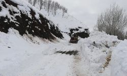 Sason’da kar kaplı yollar 3 gün sonra ulaşıma açıldı
