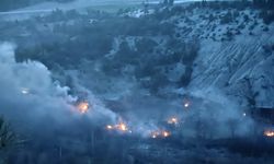 Tokat'ta orman yangını kontrol altına alındı