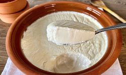 Evde yoğurt nasıl mayalanır? Evde yoğurt yapımının püf noktaları