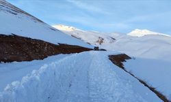 Şırnak'ta kar kalınlığının 3 metreyi aştığı Faraşin Yaylası'nda yol açma çalışmaları sürüyor