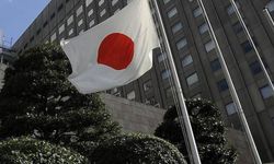 Japonya'da çocuk istismarı vakalarında artış