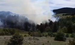 Sinop'ta korkutan orman yangını: 1,5 hektarlık alan zarar gördü!