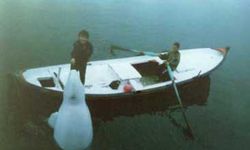 Ukrayna'dan Sinop'a kaçan beyaz balina Aydın'ın unutulmaz hikayesi..