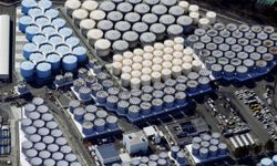 Uluslararası Atom Enerjisi Ajansı Fukuşima'daki atık su tahliyesini ikinci kez denetledi