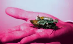 Yarı robot hamam böcekleri geliştirildi: Arama kurtarma görevlerinde kullanılacaklar